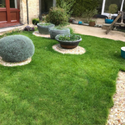 Techniques de taille pour maintenir un jardin esthétique et en bonne santé Sainte-Marie